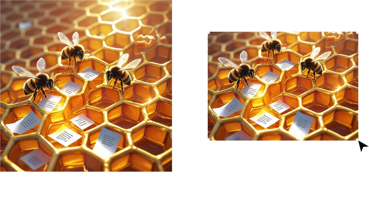 Réduction d'une image